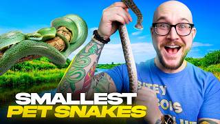 Top 5 SMALLEST Pet Snakes