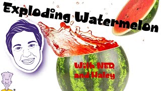 Celebrity Exploding Watermelon Experiment with NED and Haley: A NED Short Wealth