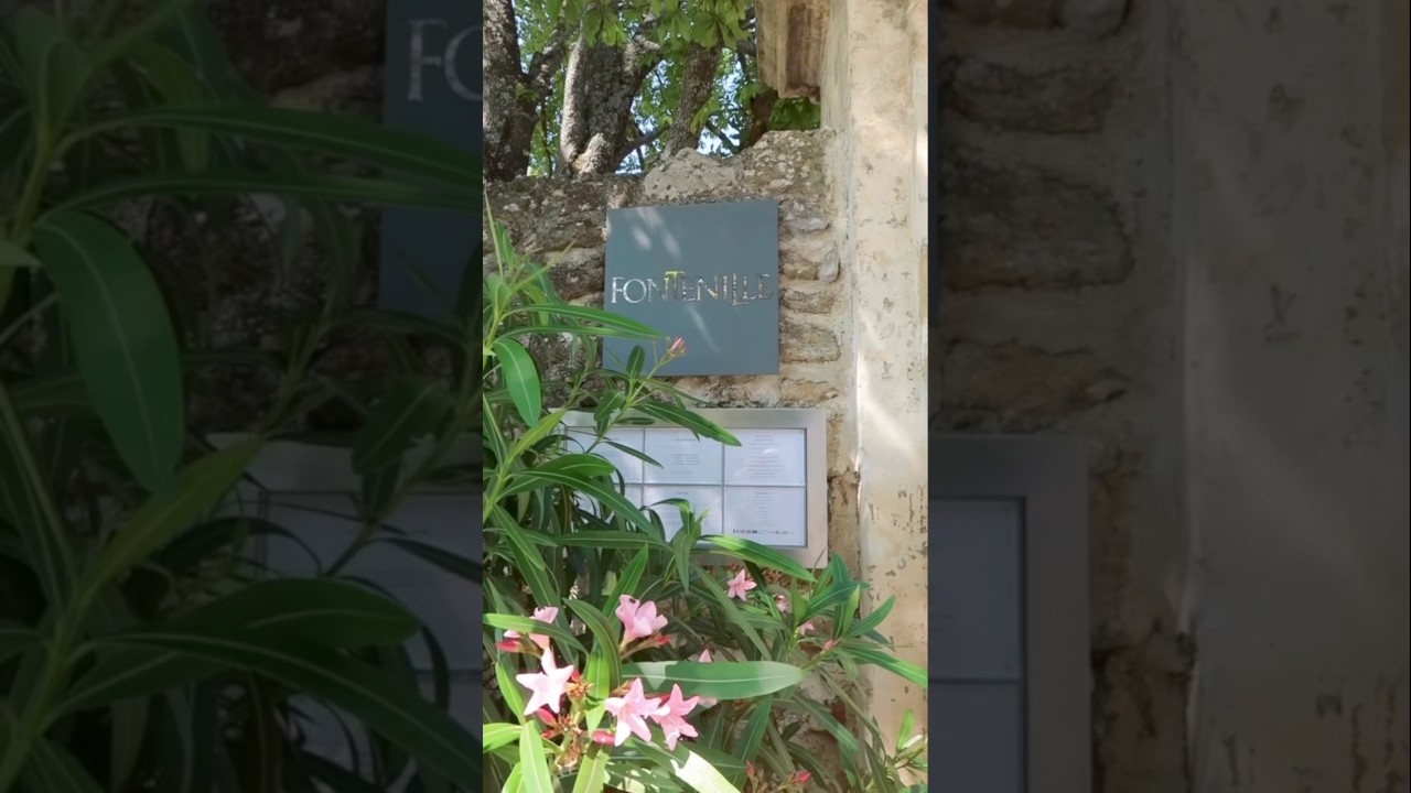 Views of Domaine de Fontenille, this gorgeous hotel has my heart 💕 