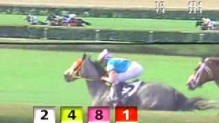 Calder Race Course, 2007-04-28, Race 10