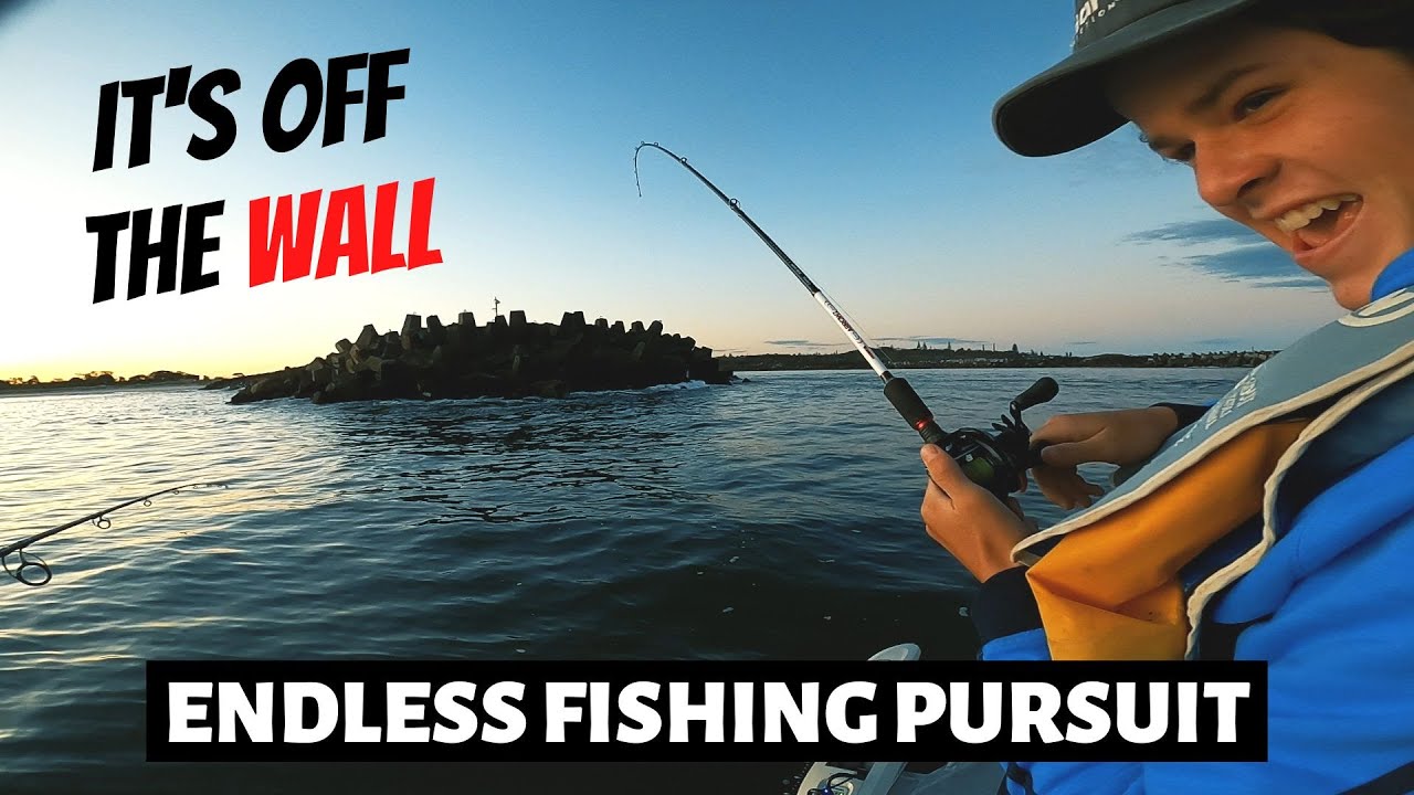 Mulloway on soft plastics and floating livebaits