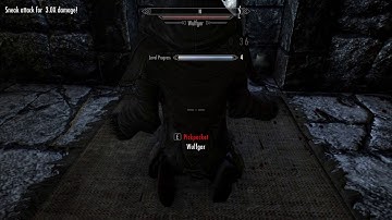 Skyrim: How to Level-Up Sneak 1-100 in 10 Minutes (Fastest Method)