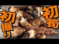 筍が顔を出し始めたよ！一発取りは難しい…タケノコ掘りに挑戦