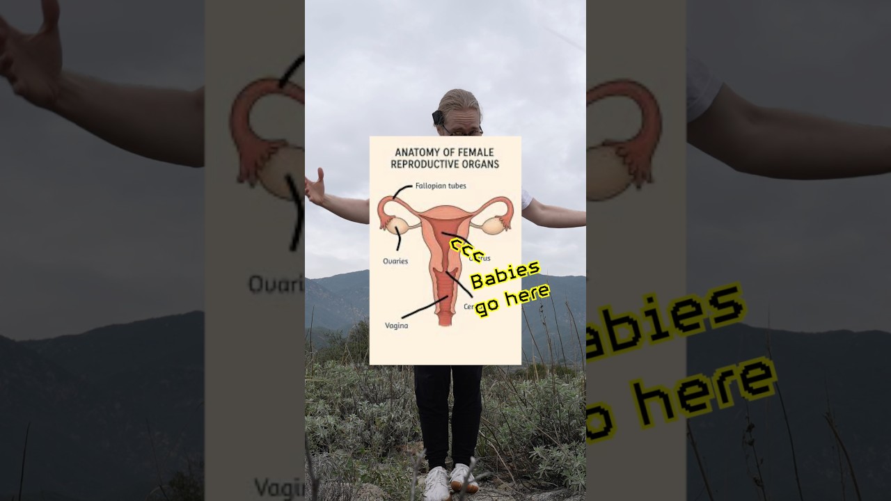 The Period (For Men) #stayflexy