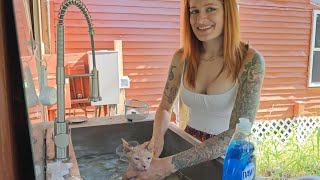 Rescue Sphynx/Munchkin cat gets her first bath