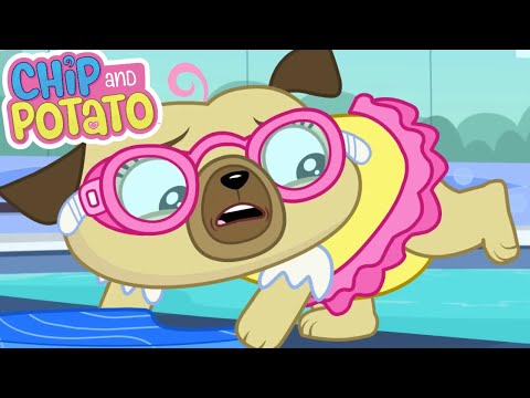 Chip and Potato | Chip Very First Swimming Lesson | Cartoons For Kids | Watch More on Netflix