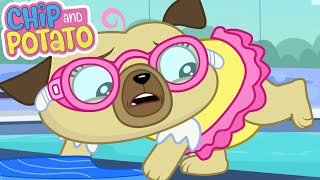 Chip and Potato | Chip Very First Swimming Lesson | Cartoons For Kids | Watch More on Netflix