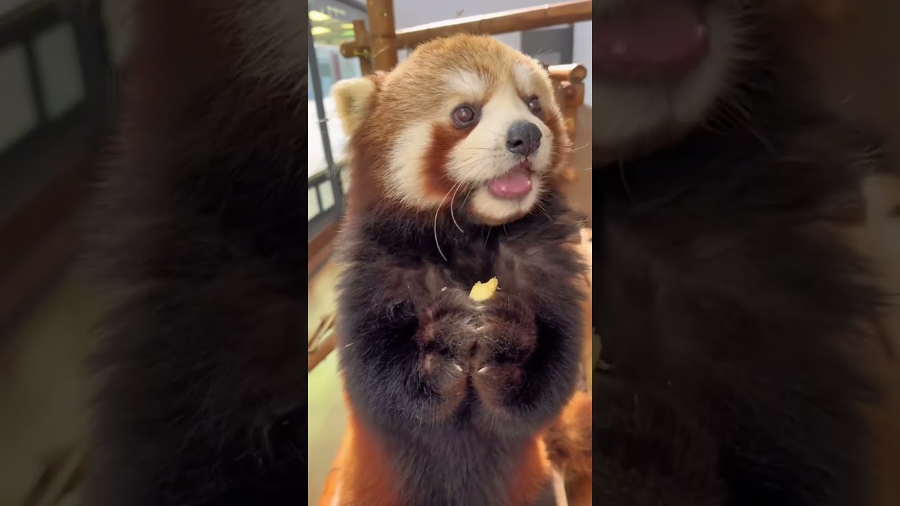 She just looks like a pretty girl~ :)