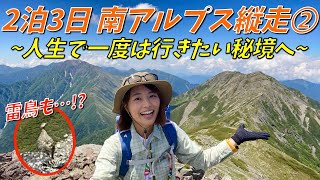 【荒川岳・赤石岳②】百名山の荒川岳へ！南アルプス最大級のお花畑＆◯◯に遭遇！