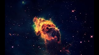 Quarks and Leptons the Pieces of Reality