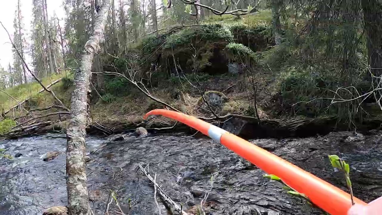 Spåra upp guldnuggetsar i bäckar !