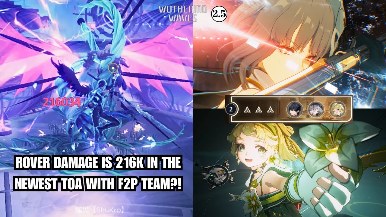 New 2.5 ToA Reset w/ S6 Rover (Havoc) Hypercarry｜Wuthering Waves Tower of Adversity