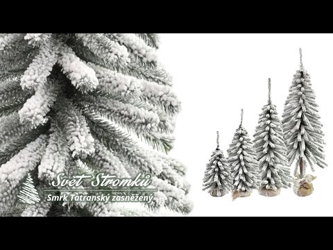 Product video