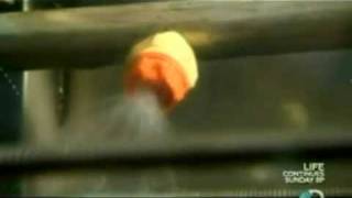 Career Overview Discovery Channel Tours Green Bay Decking  The Science behind GeoDeck  - Glenbrook U