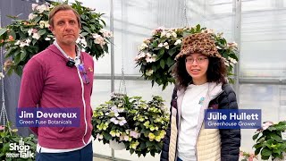 Why This Hydrangea From Green Fuse Botanicals Is a Gamechanger
