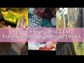 Review Aquatic Arts 2 Live Freshwater Pom Pom Crabs | Real Living Nano Aquarium Fish Tank Pet | Bett