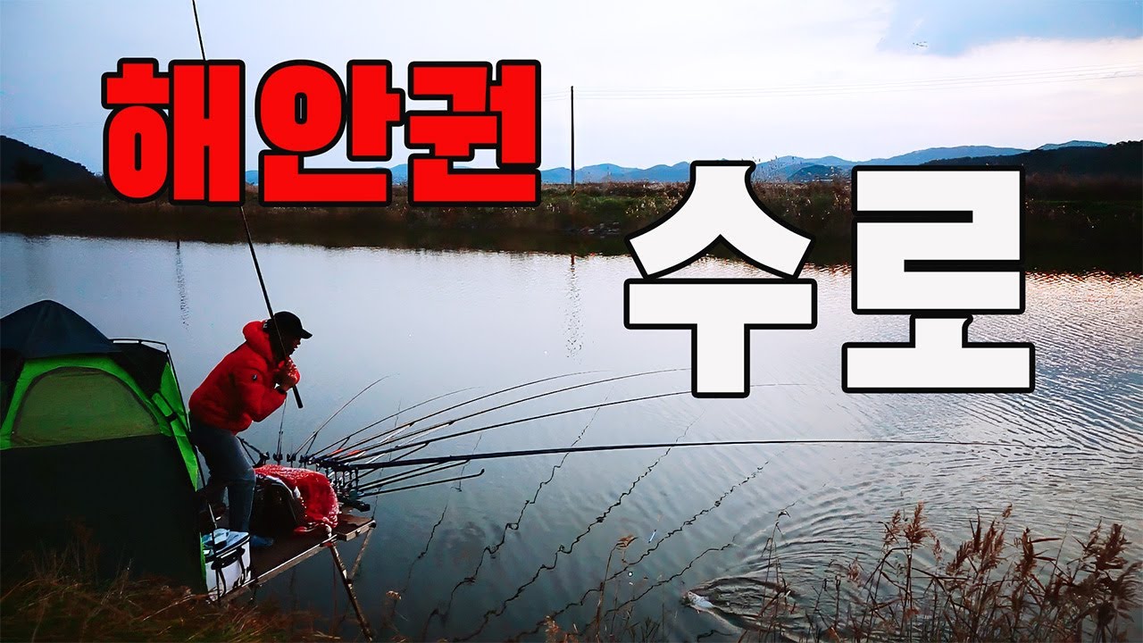 191회. 오전 장 수로의 굵은 입질/길낚시유림/대물낚시