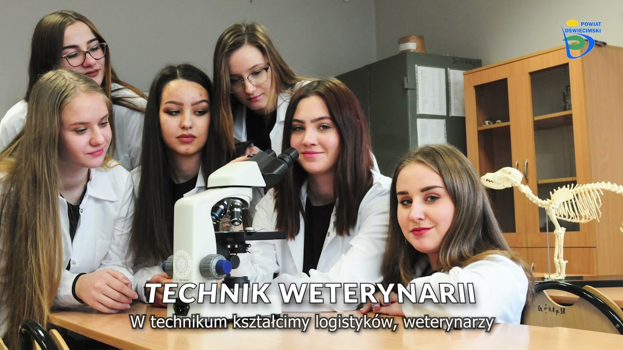 Powiatowy Zespół Nr 6 Szkół Zawodowych i Ogólnokształcących im. prof. K. Bielenina w Brzeszczach