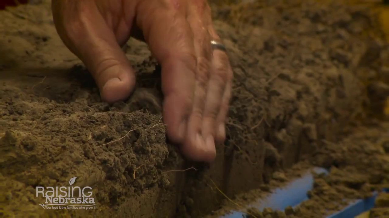 What is Nebraskas Official State Soil?