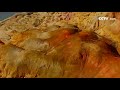 [아름다운 중국] 신장 오채탄 | CCTV 한국어방송
