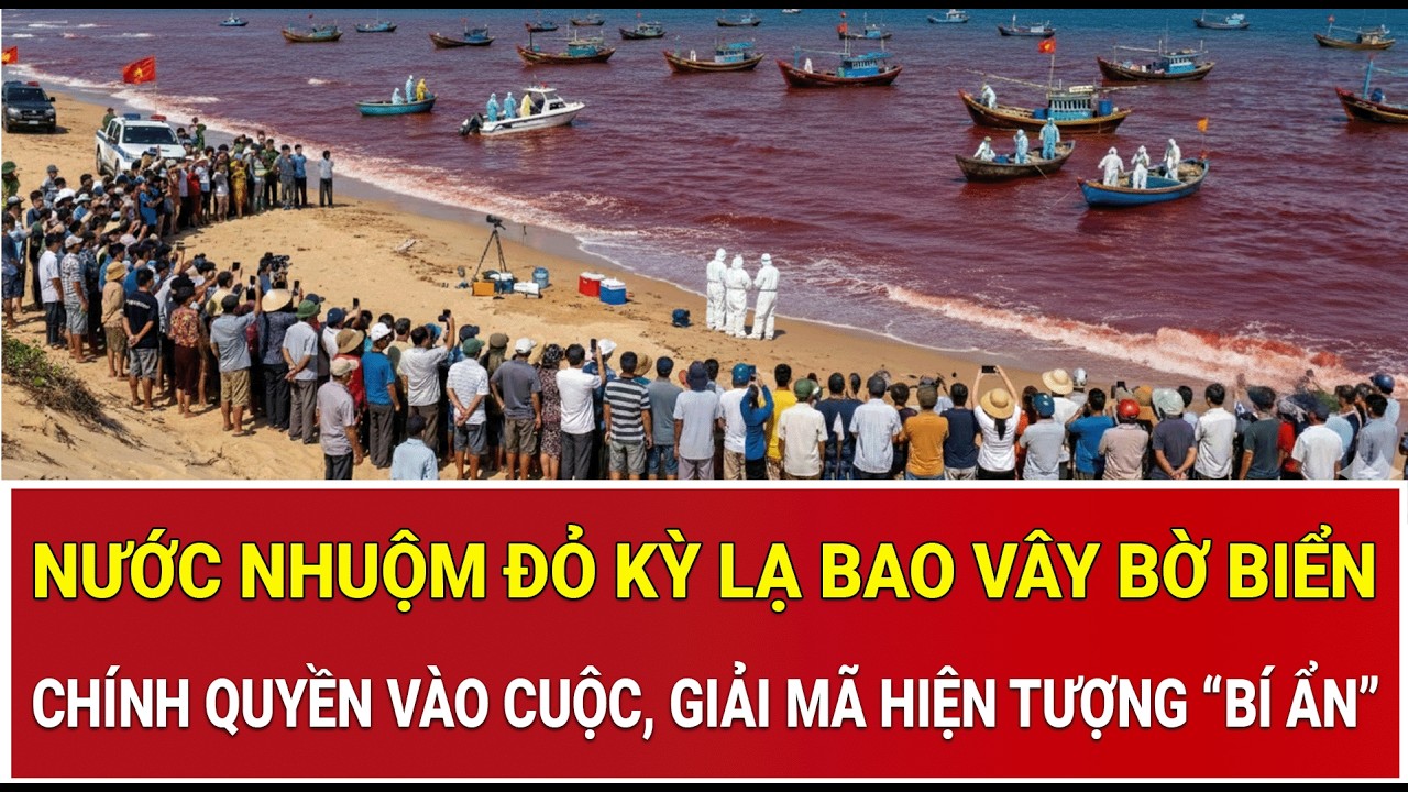 Nước nhuộm đỏ kỳ lạ bao vây bờ biển, chính quyền vào cuộc, giải mã hiện tượng “bí ẩn”