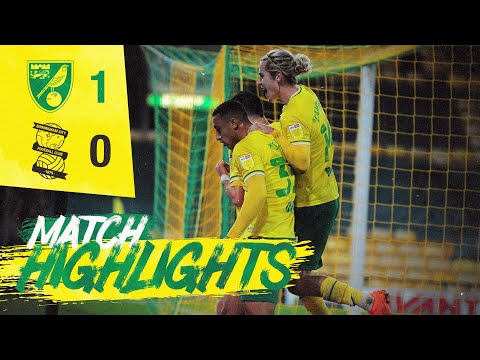 Norwich Birmingham Goals And Highlights