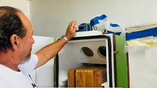 O Marido Está Muito Feliz a Caixa já Chegou da Bermuda com as Chocadeiras……
