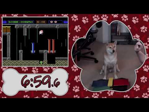 Gyromite: Cachorro completa game em 25 minutos