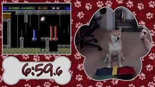 A Shiba Inu will speedrun at AGDQ 2024 (Trailer)