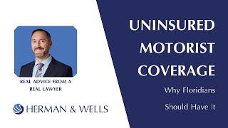 Why Florida Drivers Should Have Uninsured Motorist (UM) Coverage
