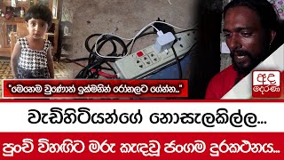 වැඩිහිටියන්ගේ නොසැලකිල්ල...පුංචි විහඟිට මරු කැඳවූ ජංගම දුරකථනය