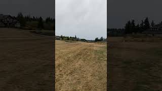 IMG 0831