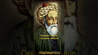 Омар Хайям #цитата #афоризмы #омархайям #омархаём