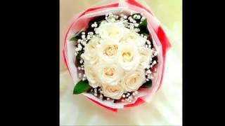 Toko Bunga Mawar Putih Valentine Kota Palembang