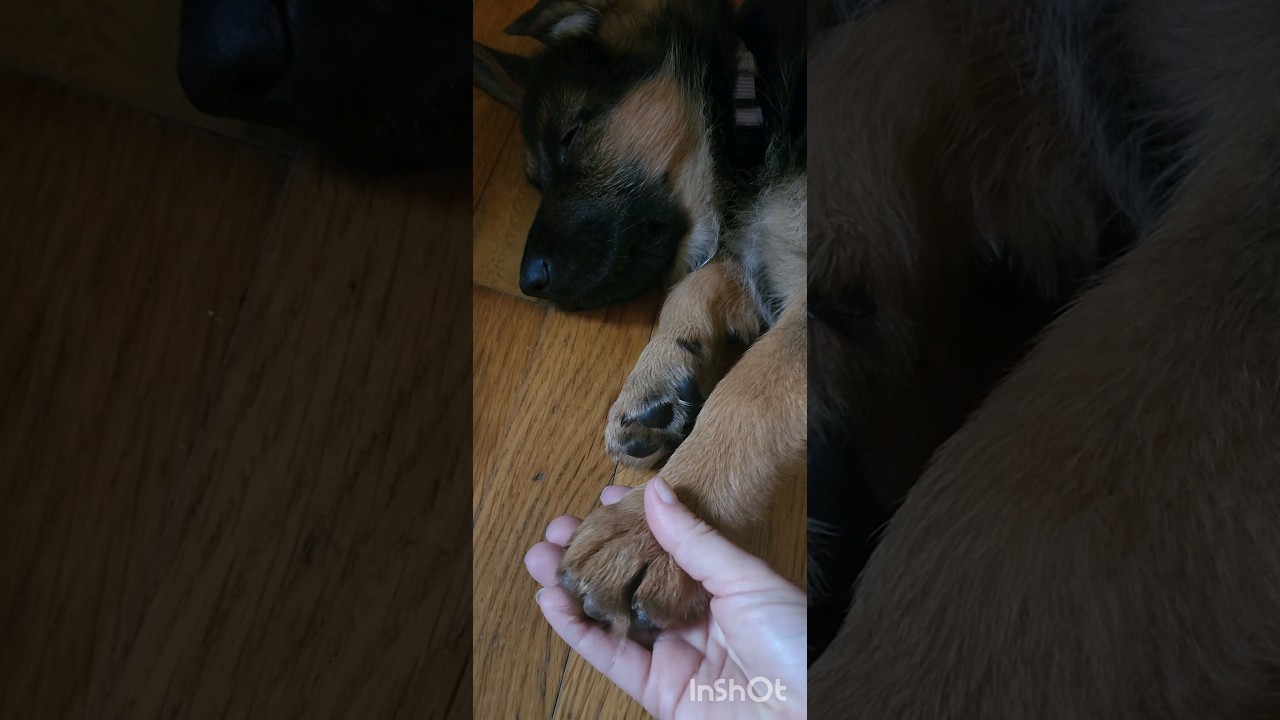 How much can one heart take 💔💔💔