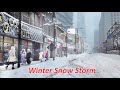 Biggest Winter Snow Storm In Toronto Canada In 2025 