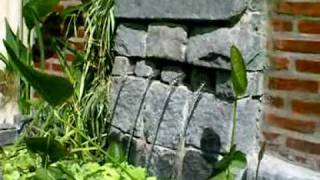 Imagen 249.avi.AVI