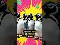 A Penguin on the Equator?! ☀️🐧