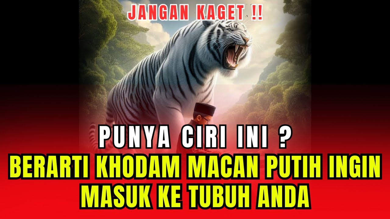 ALAMI GEJALA INI FIX ANDA ORANGNYA !! 7 CIRI KHODAM MACAN PUTIH INGIN MASUK KE TUBUH ANDA
