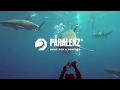 Подводная камера Paralenz - лучшее решение для дайвинга