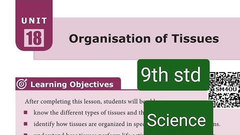 18.ORGANISATION  OF  TISSUES (book back answers) 9th std Science