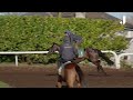Ride Galopin Des Champs, dual Boodles Cheltenham Gold Cup winner!