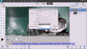 Adobe Photoshop Elements 12 Tutorial Basic Image Manipulation Employee Group Training  4.4