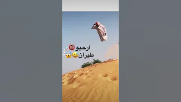 اغنية يا كنترول سجل لنا اقوى دخول 