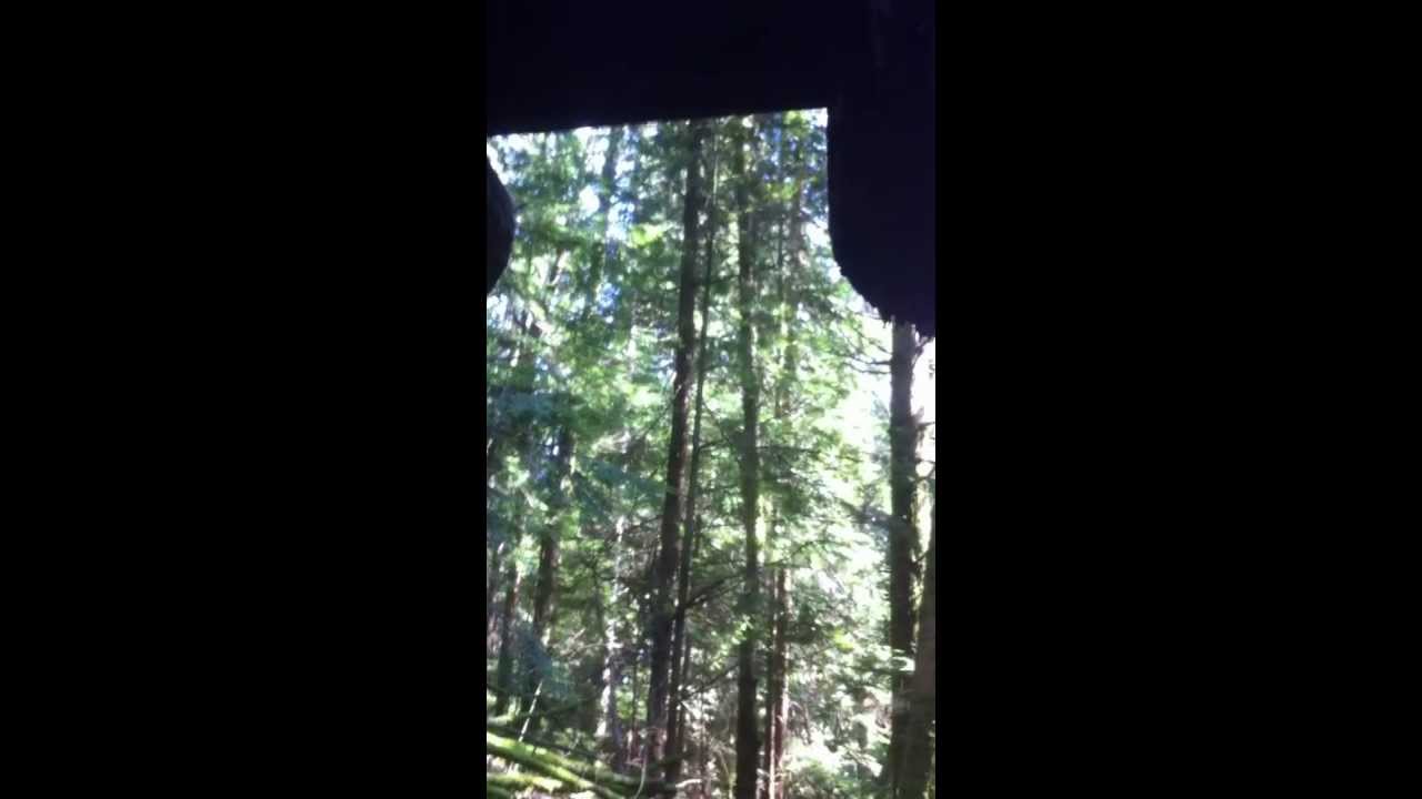 Jump Trail on Burke Mountain