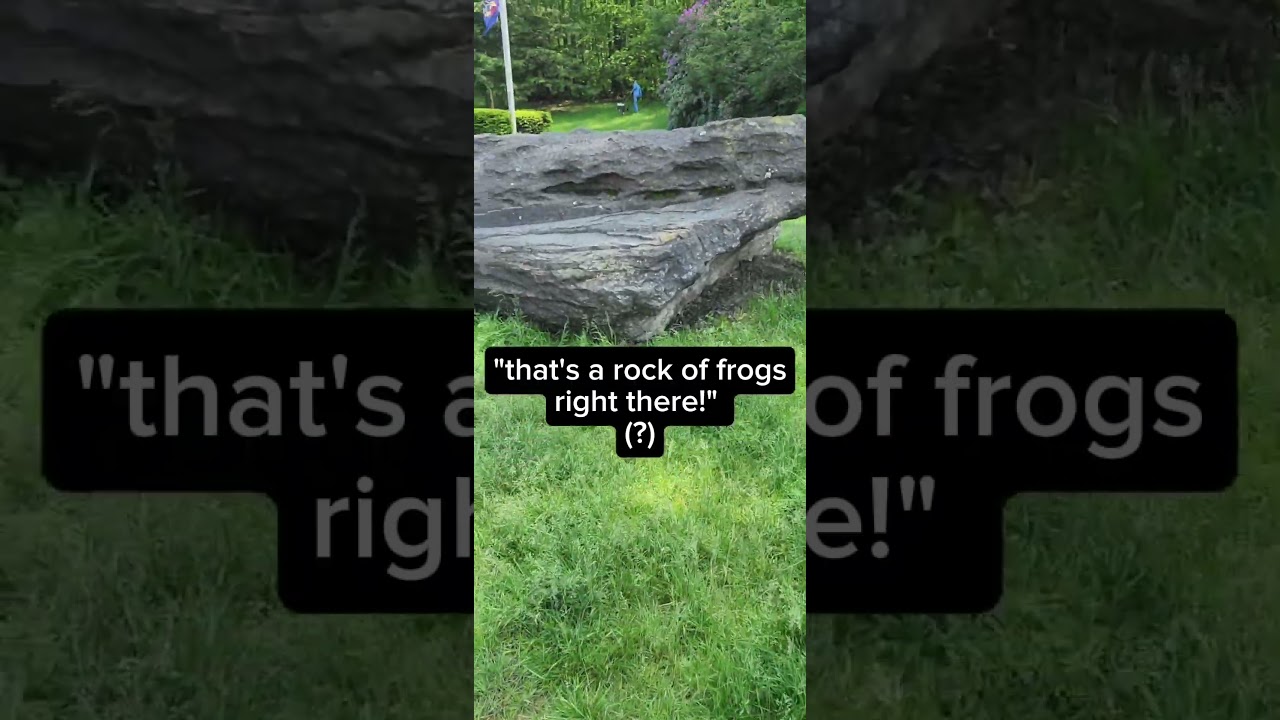 Seen at a rest stop on the interstate: a rock 🪨 in the shape of a frog 🐸