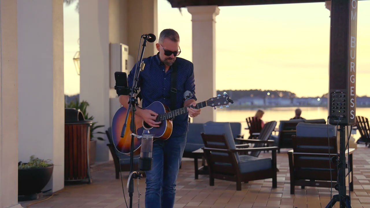 Tom Burgess - Animal (Goose)