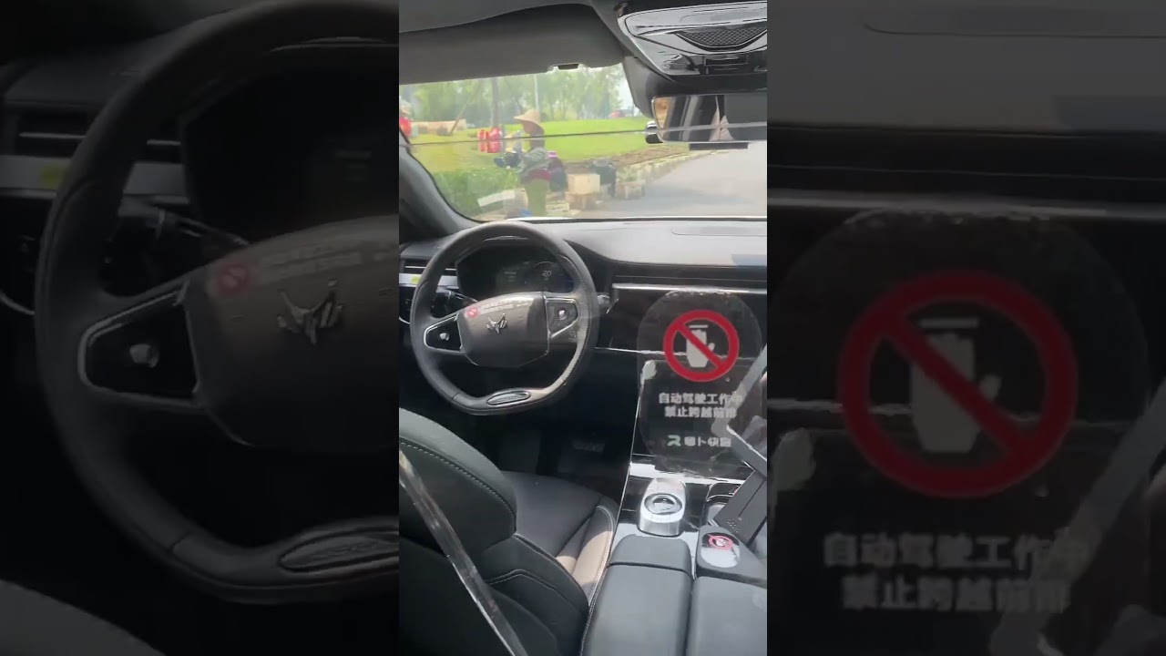 A Tourist Experiences Apollo Go Driverless Robotaxi | 