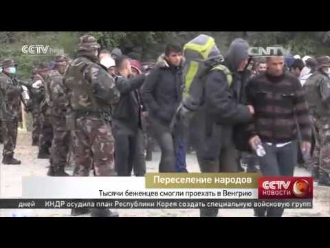 Тысячи беженцев смогли проехать в Венгрию