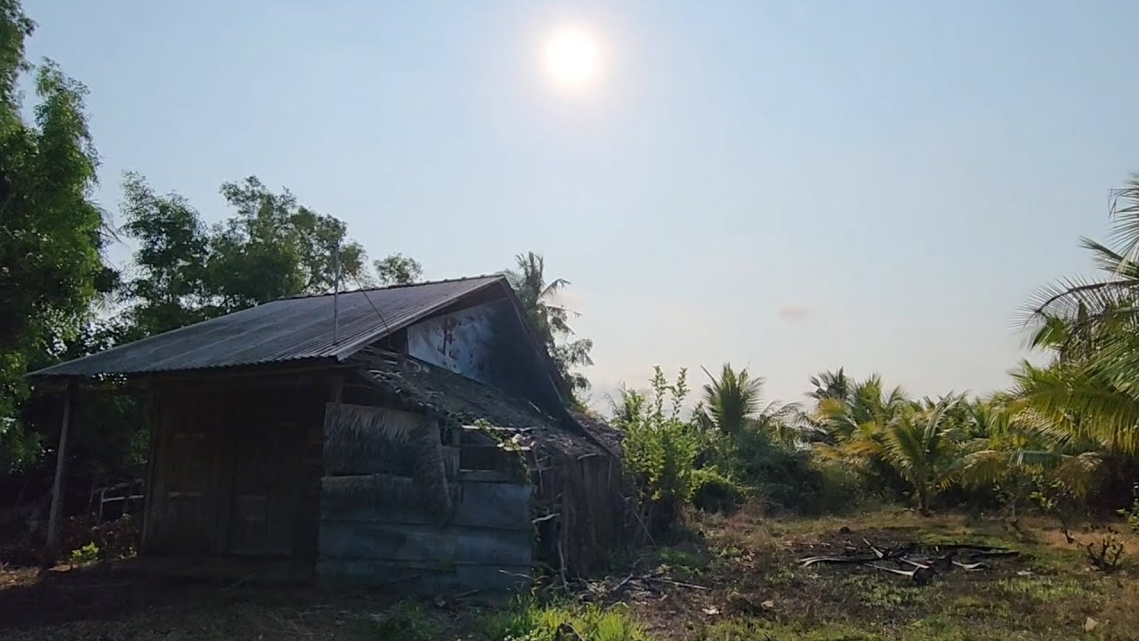 Rùng mình ngôi nhà bỏ hoang mối ăn banh chành